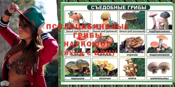 крисы Протвино