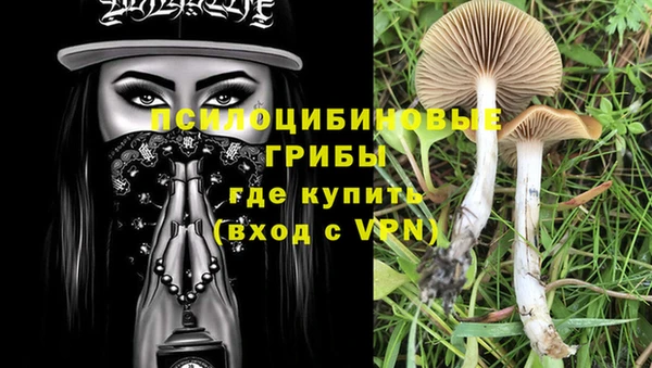 мяу мяу кристалл Пролетарск
