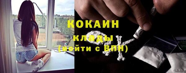 крисы Протвино