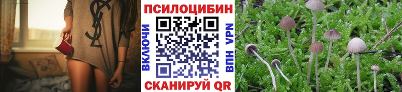 Псилоцибиновые грибы Psilocybe  Невельск 